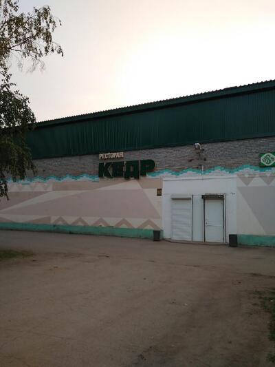 Кедр