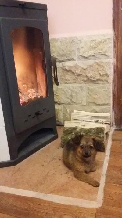 Фотография Горячая выпечка