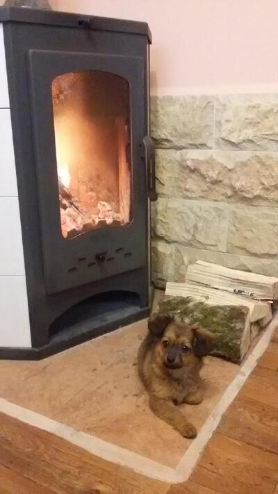 Фотография Горячая выпечка