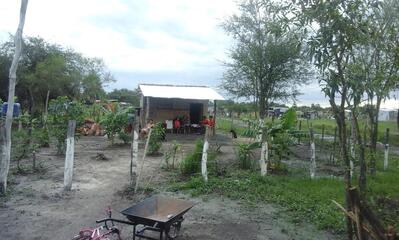BODEGA Y LOMITERÍA "CUCHO"
