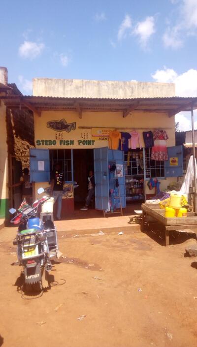 STEBO FISH POINT
