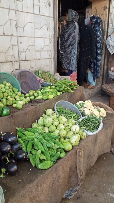 مدثر کولیکشن