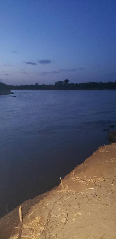 Club 7 Hybrid Mororo Tana river County.