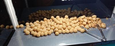 Onde onde mini dan molen mini