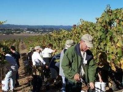 Wine Boot Camp