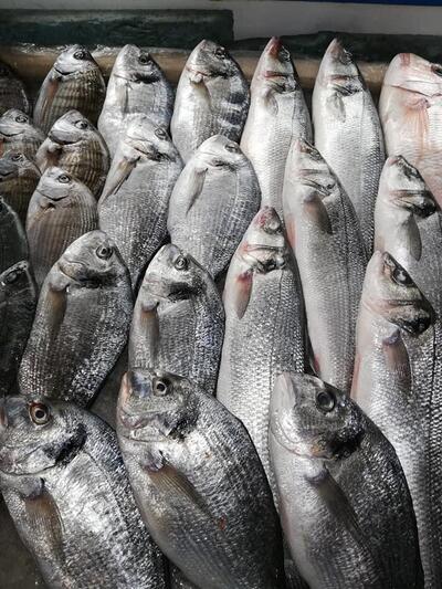 Merhi Seafood