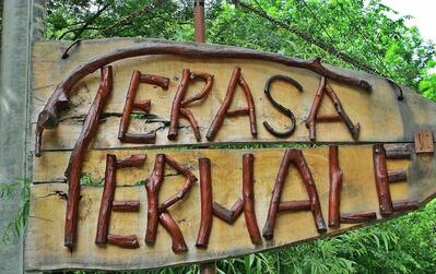Terasa Termale