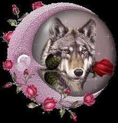 The Dusty Rose