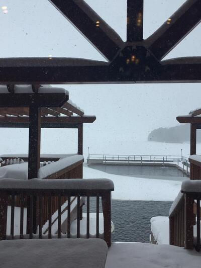 The Dock Garden MI