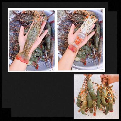 ေရသူမ Seafood