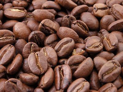 Caffe Moda