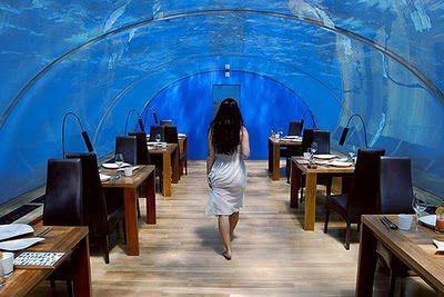 International SHARK OCEAN Restaurant