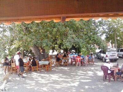 Pizzaria Soares