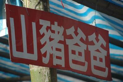 布農傳統到府烤全豬 - 山豬爸爸金榮貴