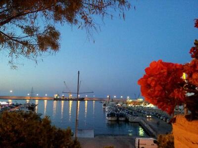 photo de Trattoria Pizzeria Arena