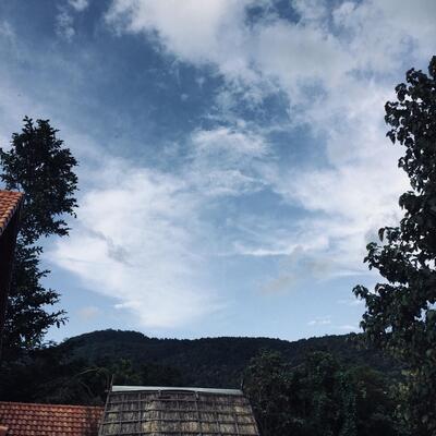 Thachang Hill Coffee & Cafe