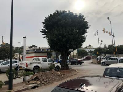 photo de Les épices du monde