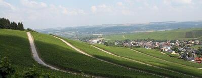 Caves Bentz René