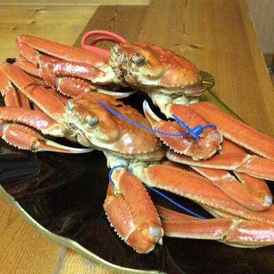 お食事処 海風