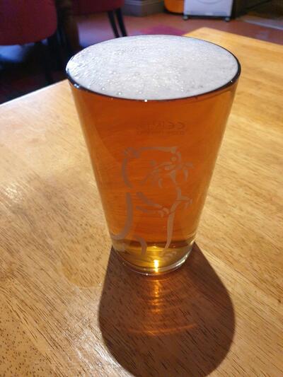 The Stags Head