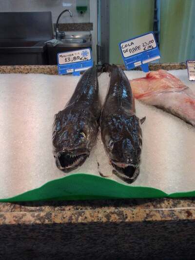 Peixos Emilio