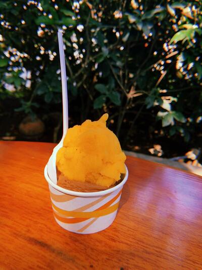 Robin's Ice Creams
