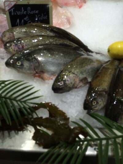 poissonerie Latour