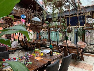 Упитанный енот