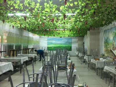 Чайхана