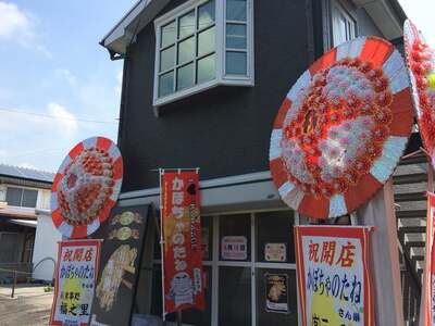 かぼちゃのたね 寿店