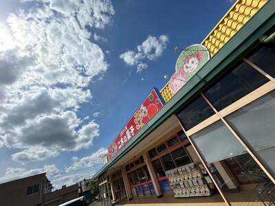 Nikinokashi Shintokorozawaten