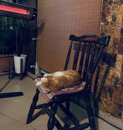 Vorta Cafe