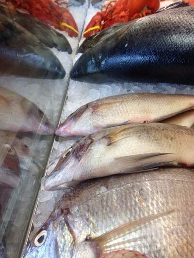 Boston Seafood