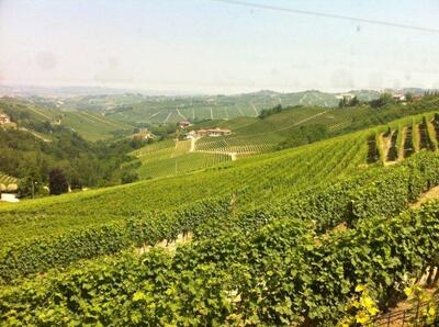 Trattoria Madonna di Como