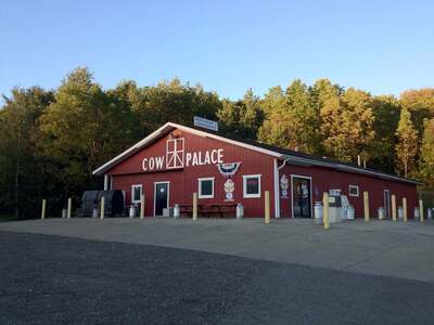 Cow Palace