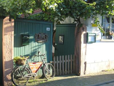 Zur Blume Weinbar