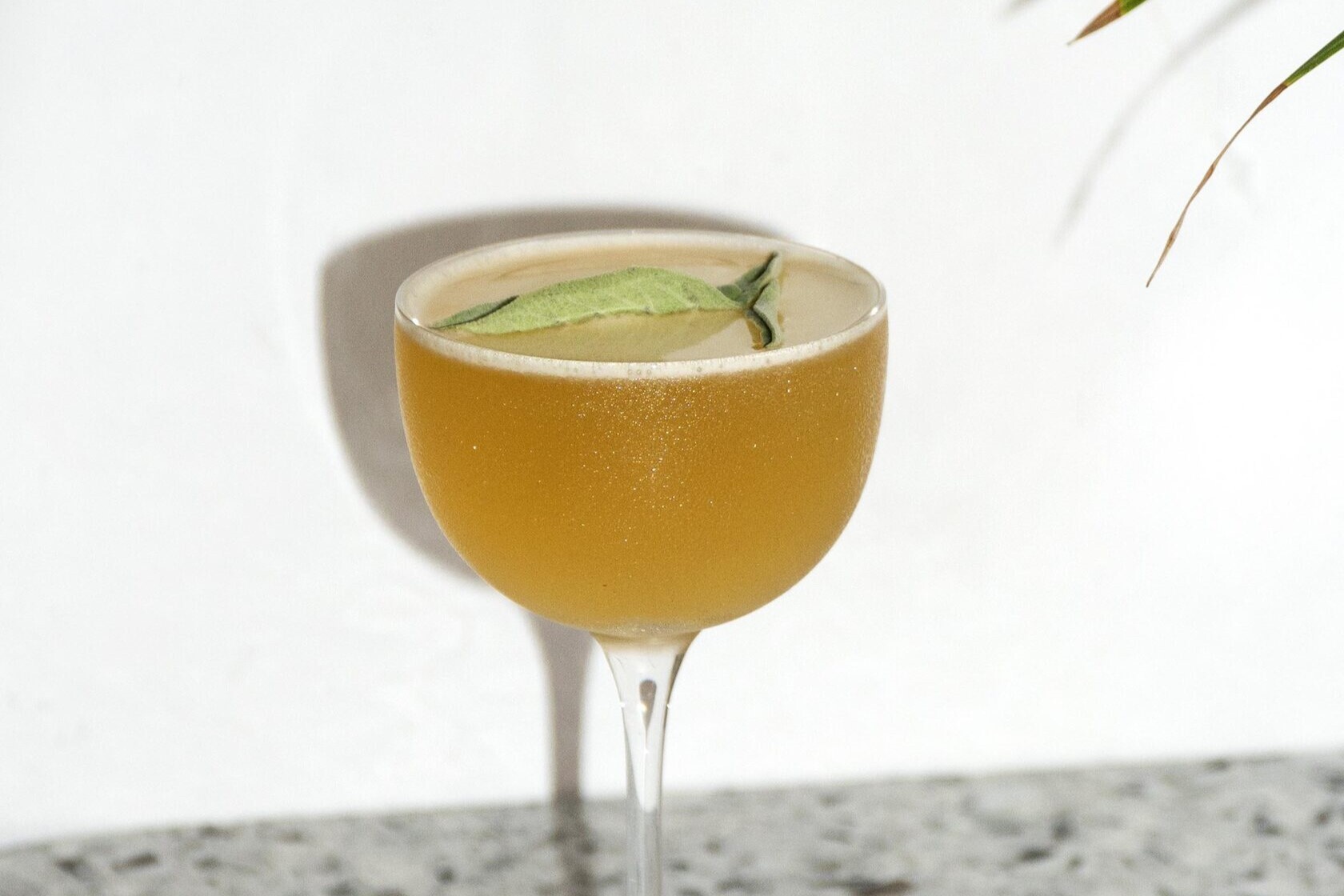 Фото с Restaurant Guru