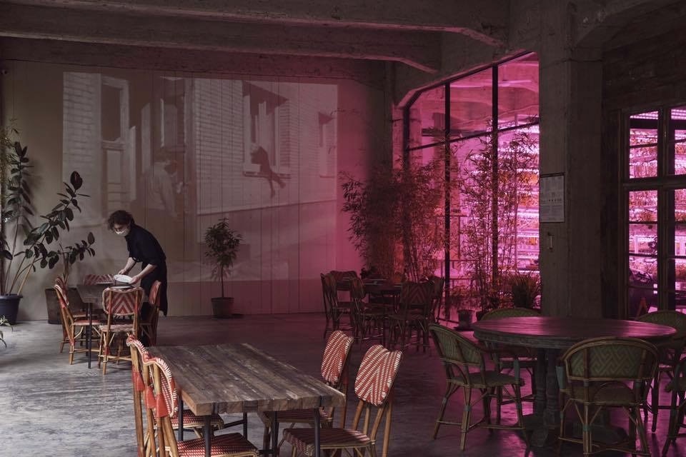 Фото с Restaurant Guru