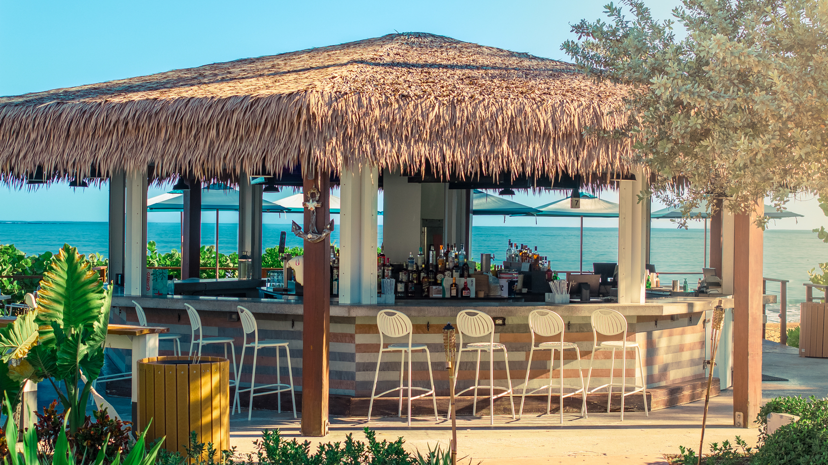Tiki Hut