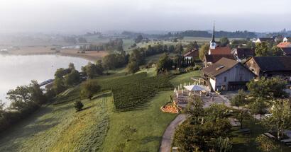 Juckerhof, Jucker Farm AG