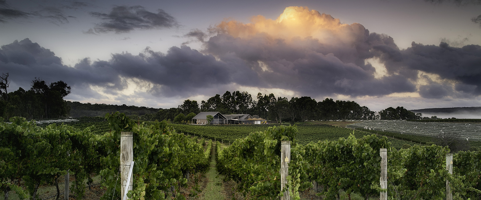 Wills Domain Winery