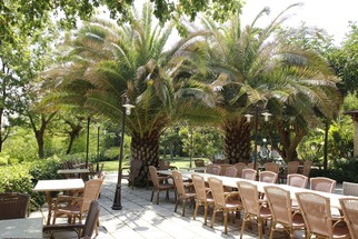 Agriturismo Rossoconero
