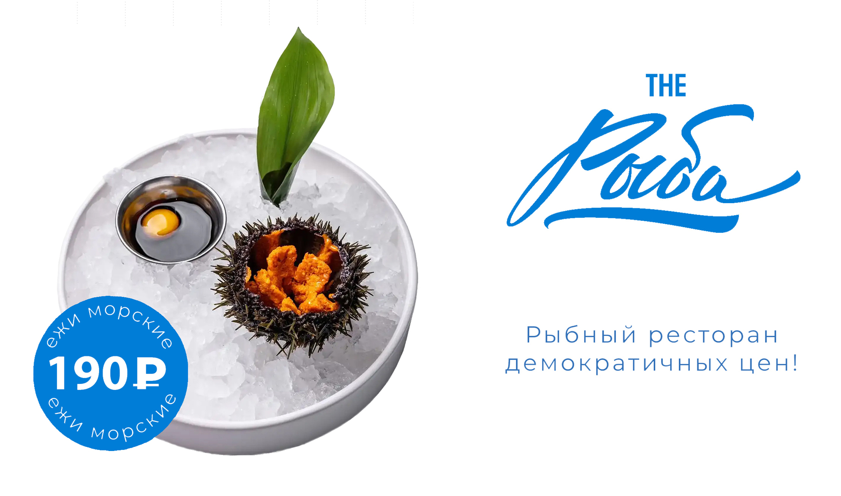 Морские ежи 190 р
