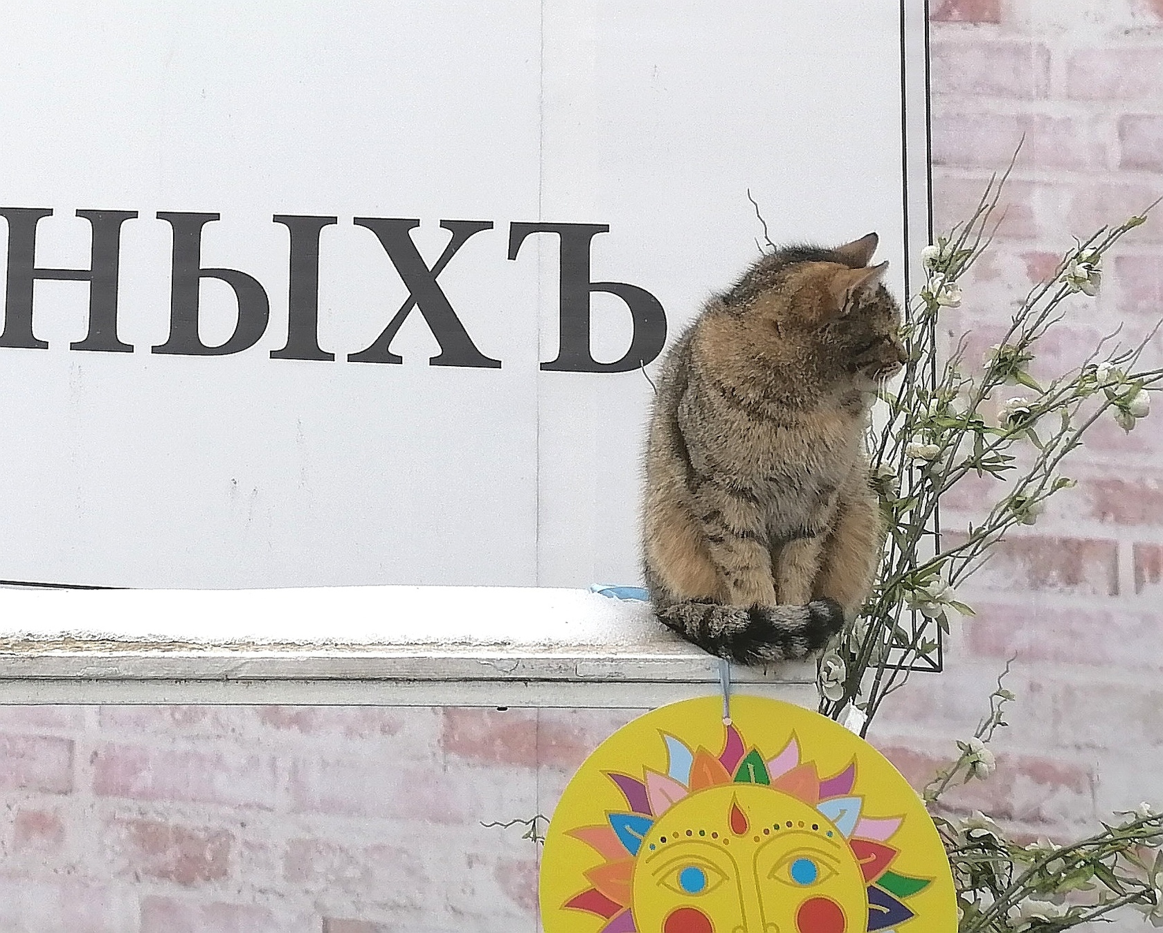Фото с Restaurant Guru