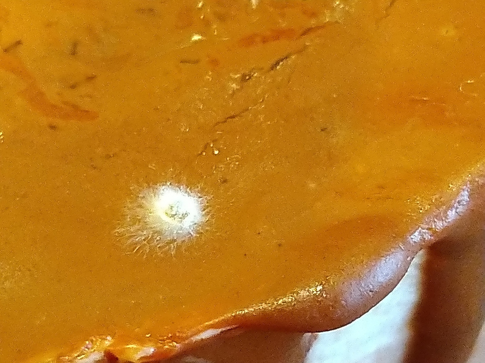 Фото с Restaurant Guru