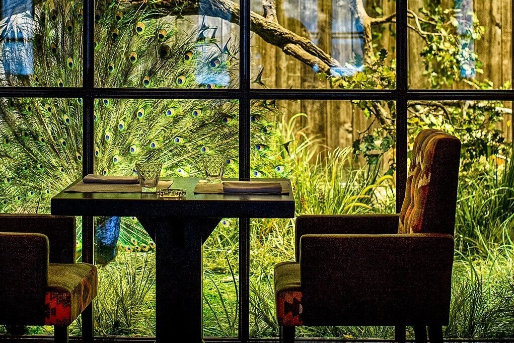 Фото с Restaurant Guru