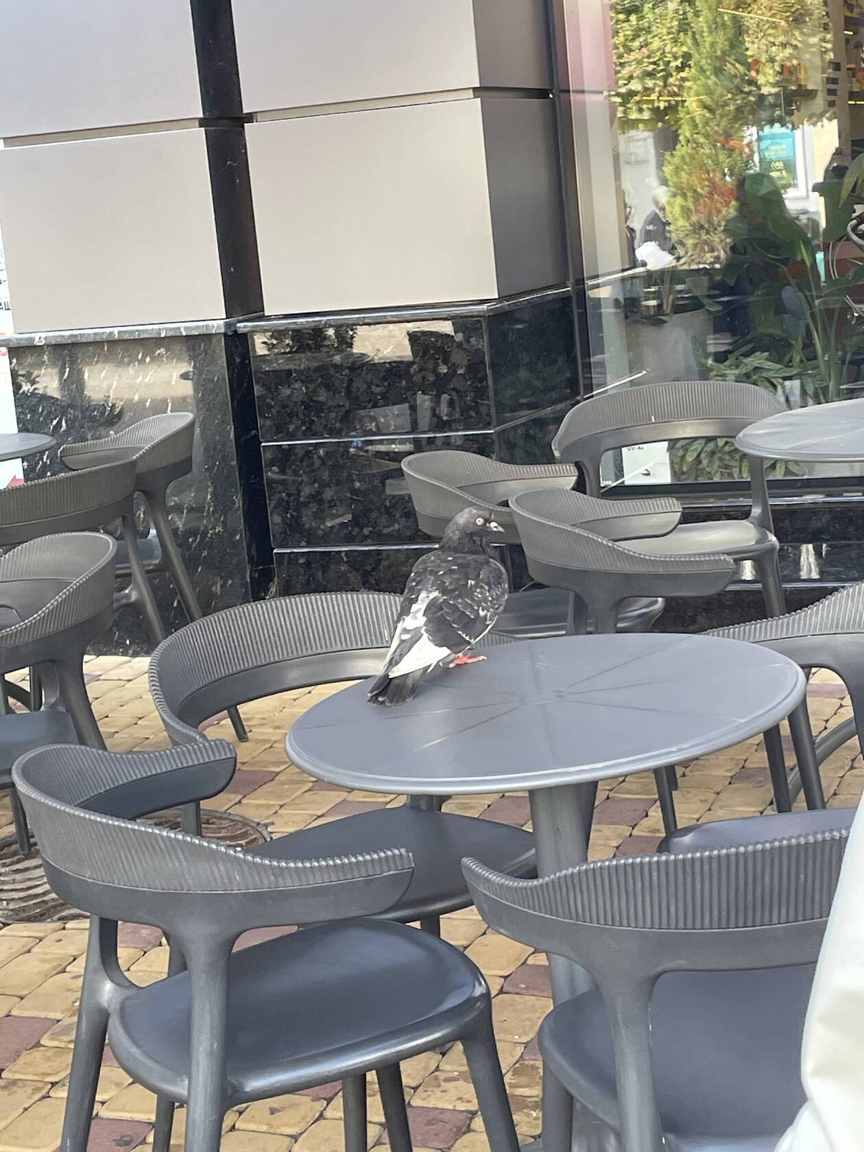 Фото с Restaurant Guru