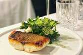Photo from Restaurant Guru