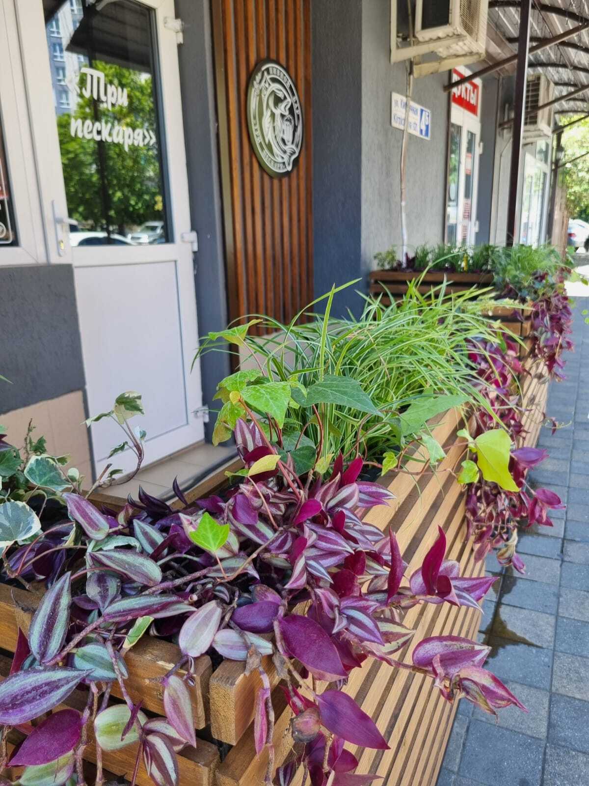 Фото с Restaurant Guru