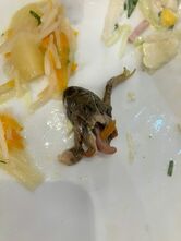 Фото с Restaurant Guru